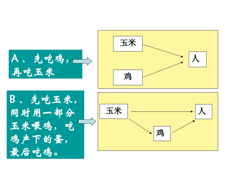 生态系统的能量流动_第2页