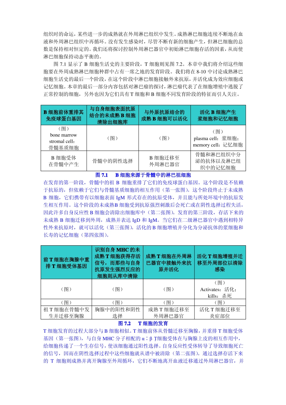 7淋巴细胞的发育与存活_第2页