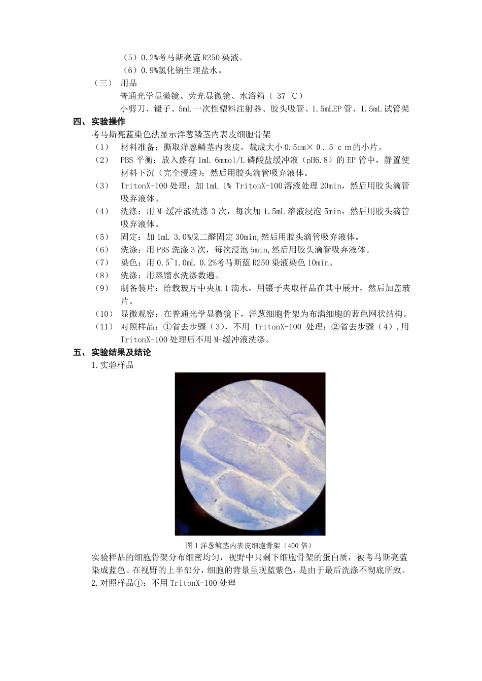 试验细胞骨架的显示及观察_第3页