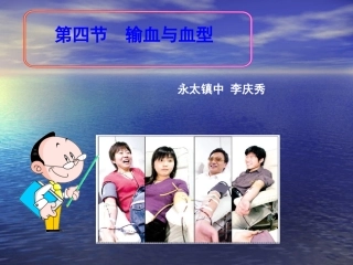 生物课件：输血与血型