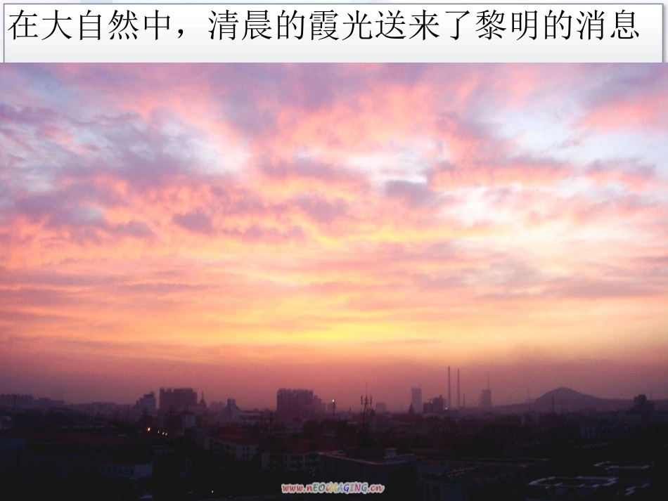 走进信息技术_第3页