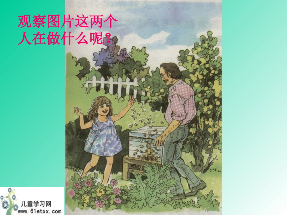 (人教新课标)三年级语文课件蜜蜂1_第3页