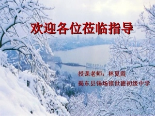 湖心亭看雪课件