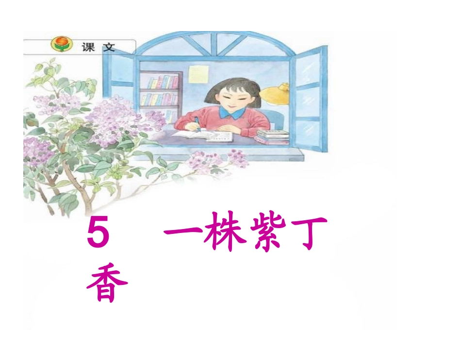 肉孜完古丽2、一株紫丁香PPT课件_第2页