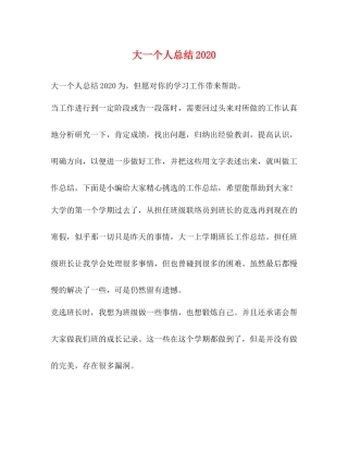 大一个人总结3