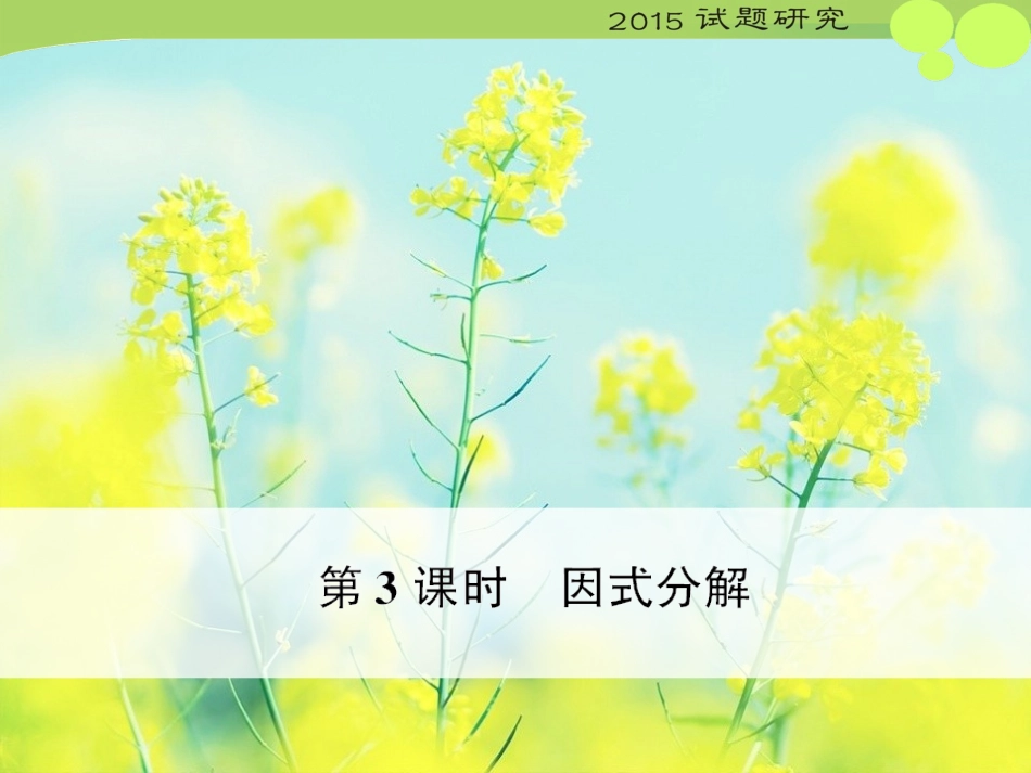 第3课时因式分解_第1页