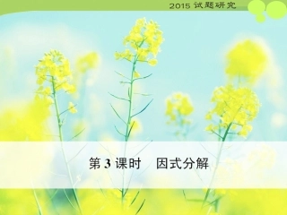 第3课时因式分解