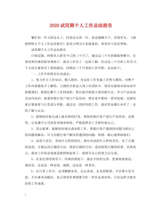 试用期个人工作总结报告
