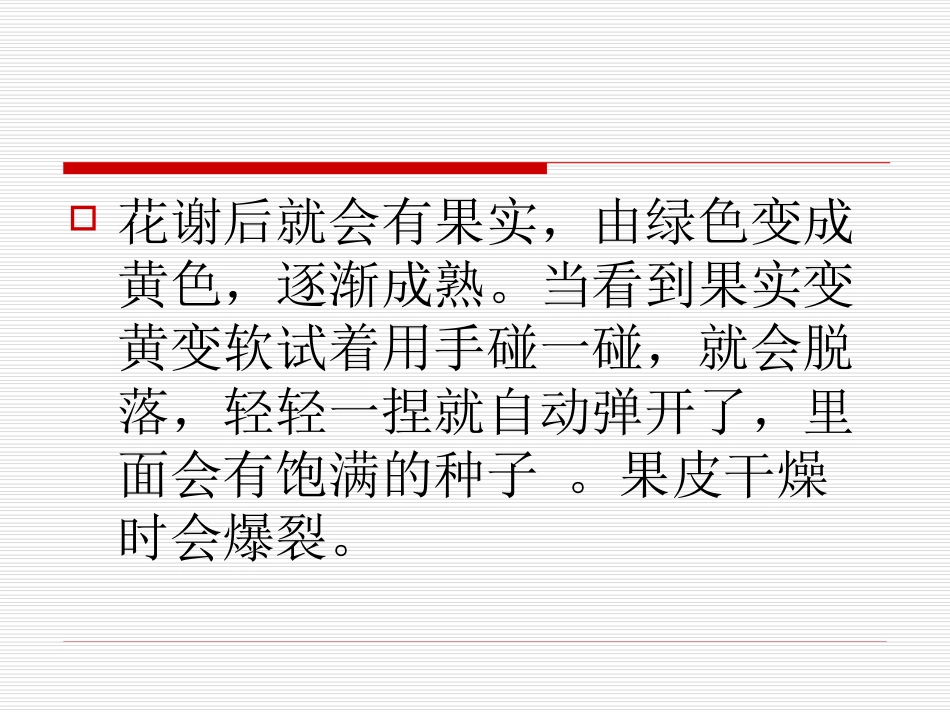 把种子散播到远处_第3页