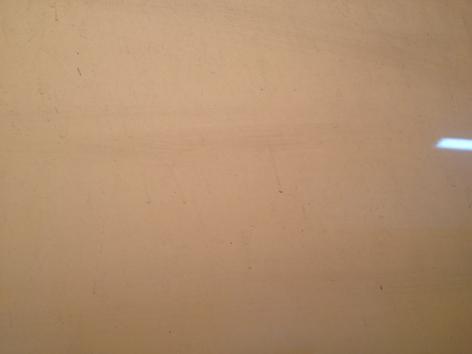 那树(定稿)_第2页