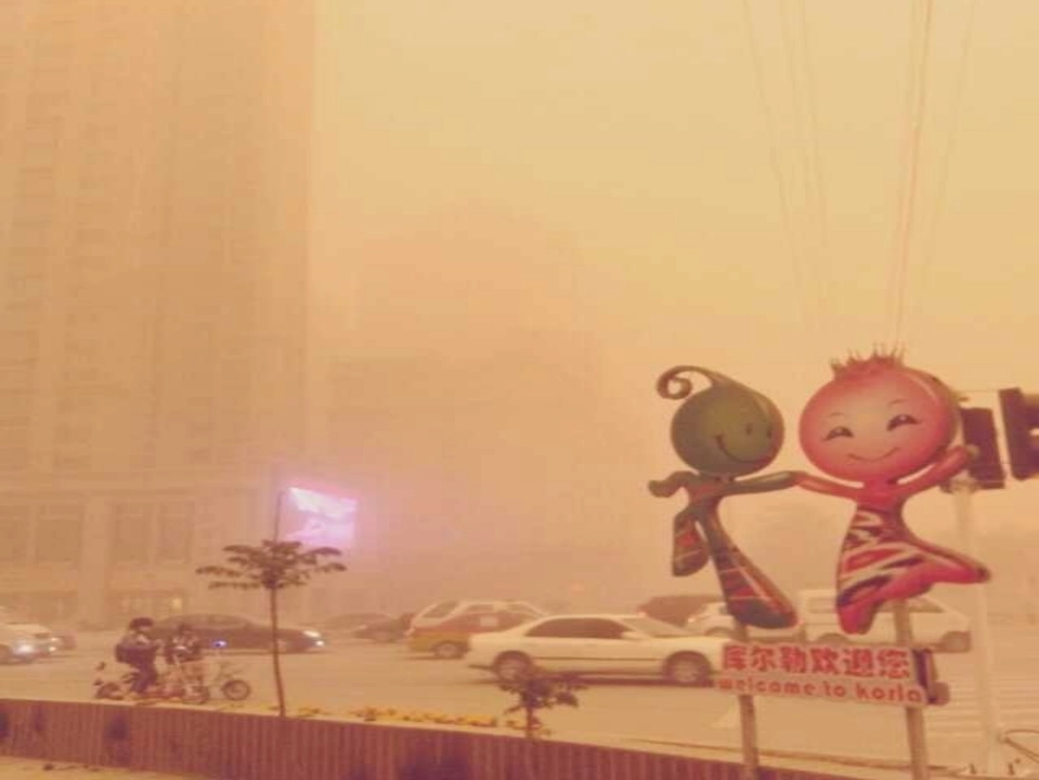 那树(定稿)_第3页