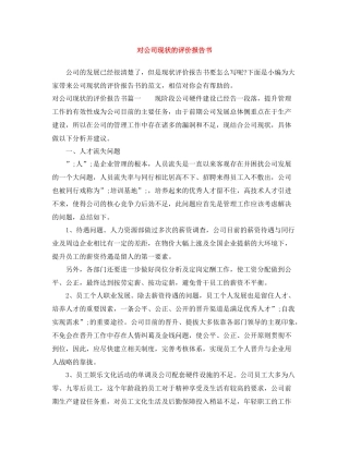 对公司现状的评价报告书