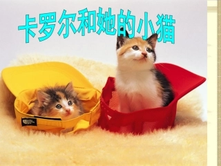 人教新课标二年级语文下册《卡罗尔和她的小猫》PPT课件