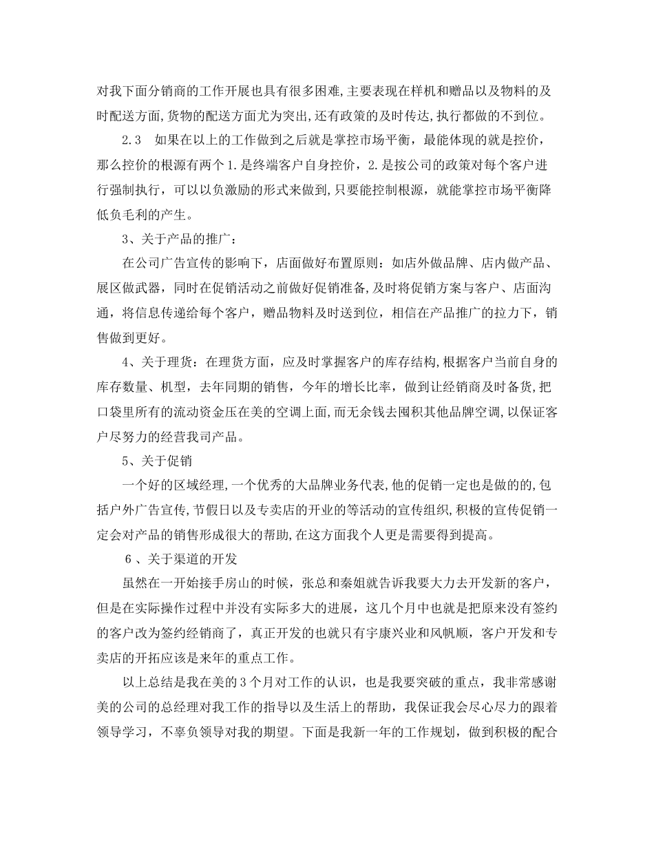 大区域经理的营销工作总结_第2页