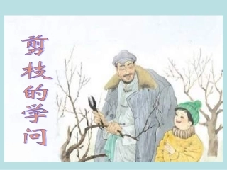 课件_《剪枝的学问》_语文_张燕芬