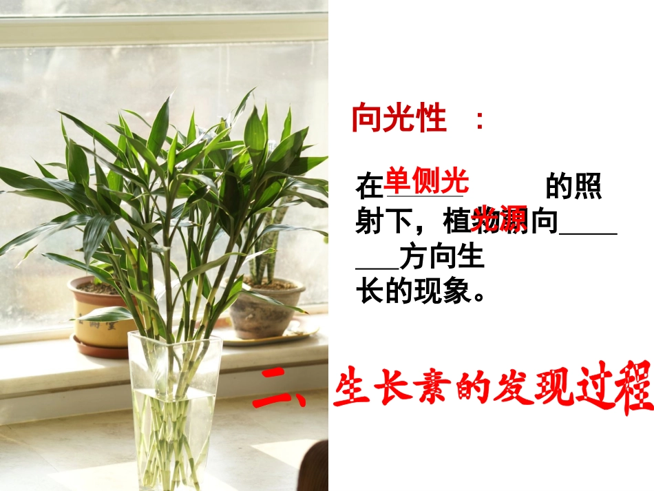 植物生长素的发现_第3页