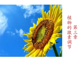 植物生长素的发现