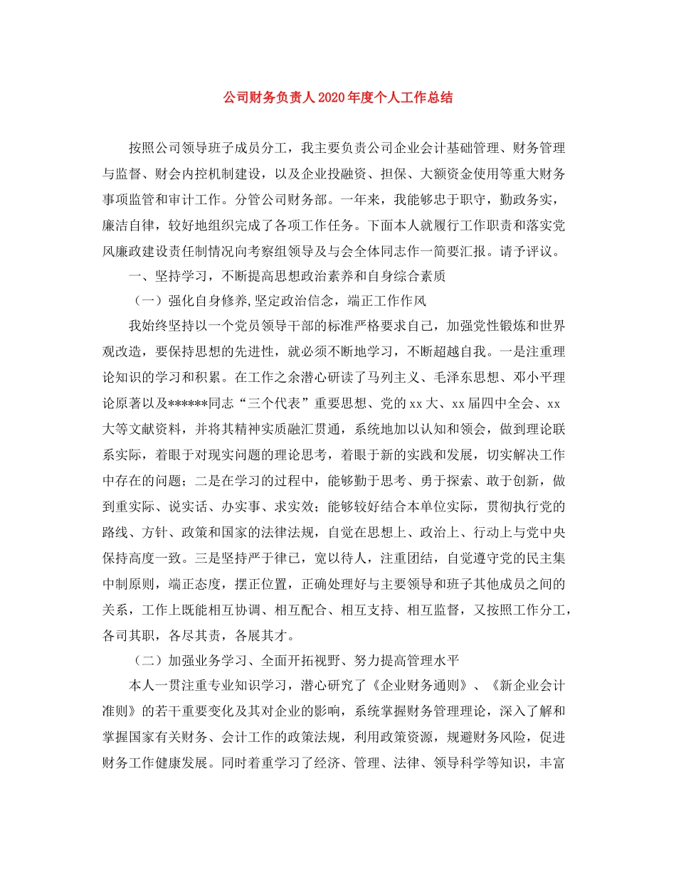 公司财务负责人年度个人工作总结_第1页