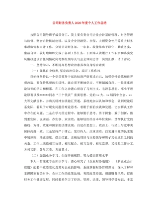 公司财务负责人年度个人工作总结