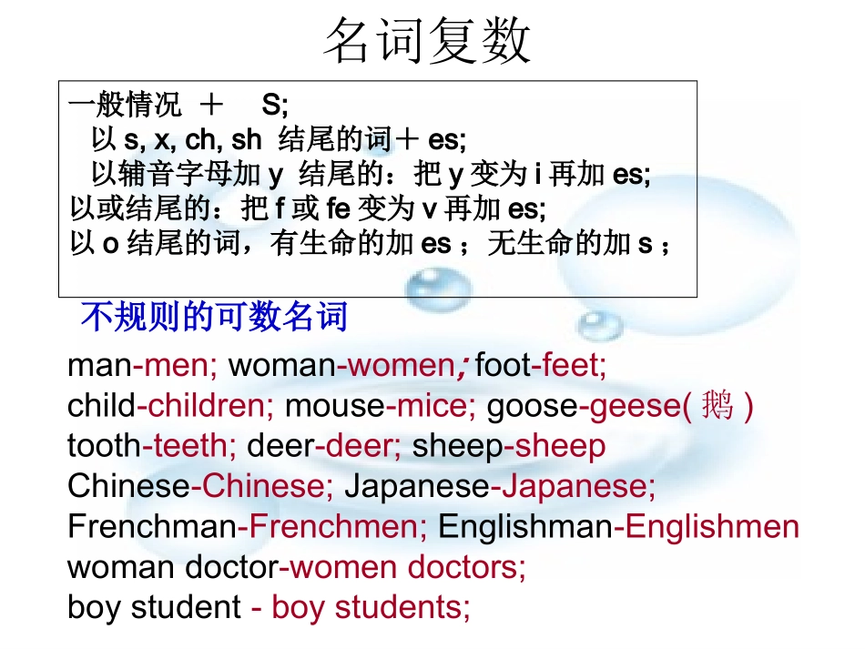 初三英语专项复习名词_第3页