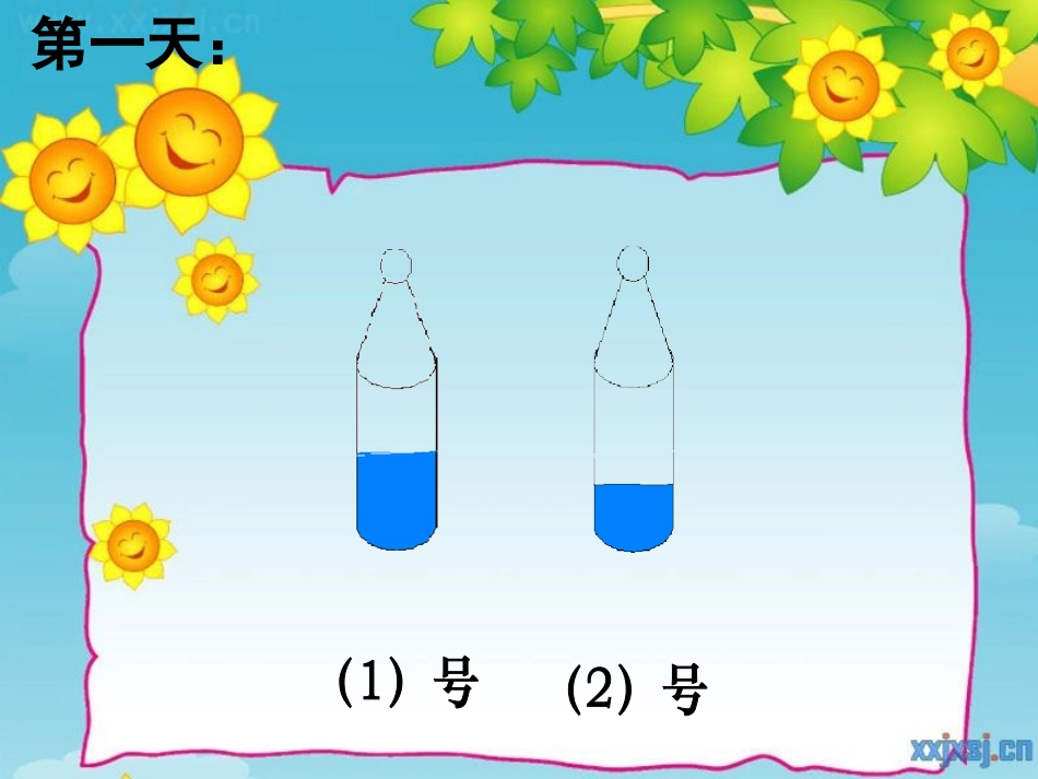 比较水的多少_第2页