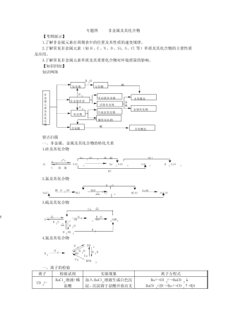 ...专题四 非金属及其化合物(例题有解析,习题有答案)