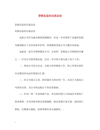 营销总监的自我总结