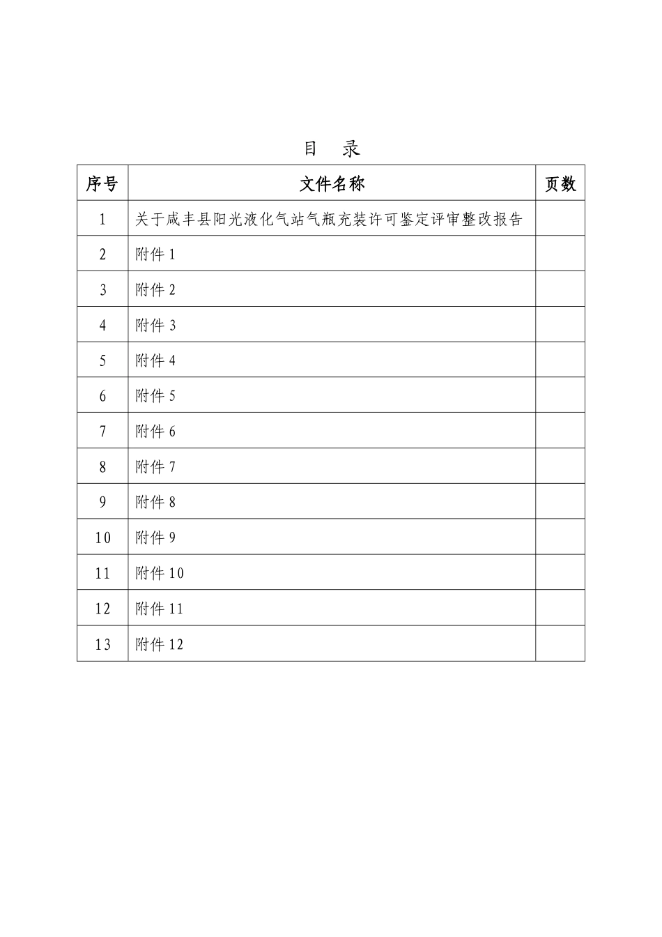 特种设备气瓶充装鉴定评审整改报告_第2页