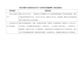 重庆市煤矿企业安全生产主体责任实施细则