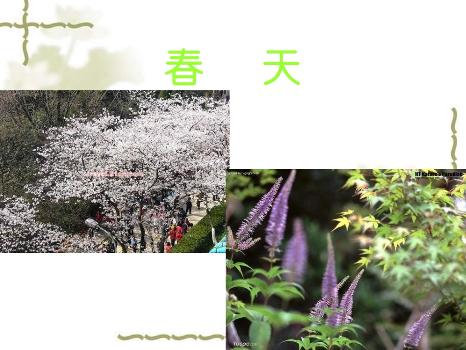 人教版小学科学《油菜花开了》课件_第2页