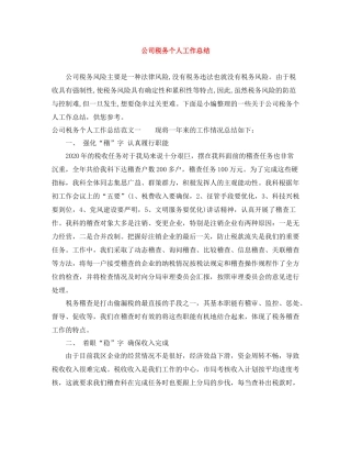 公司税务个人工作总结