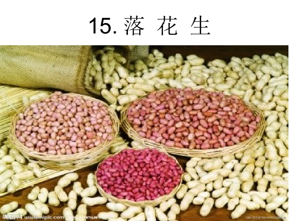 落花生公开课_第1页