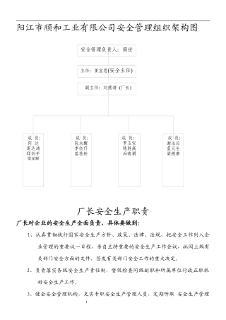 企业安全管里组织架构图6