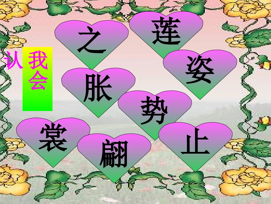 《荷花》课件【31页】_第3页