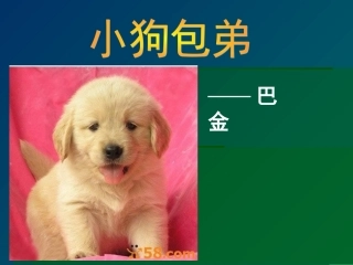 小狗包弟经典课件