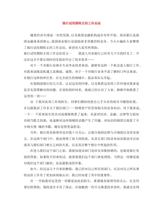 银行试用期转正的工作总结 
