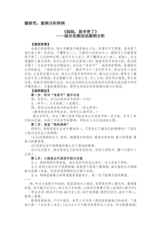 案例分析样例