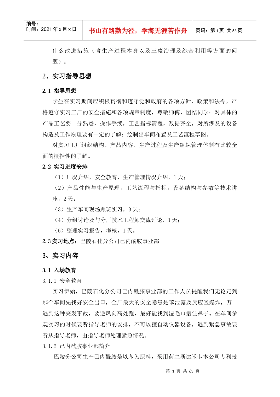 己内酰胺合成工艺(实习报告)_第2页