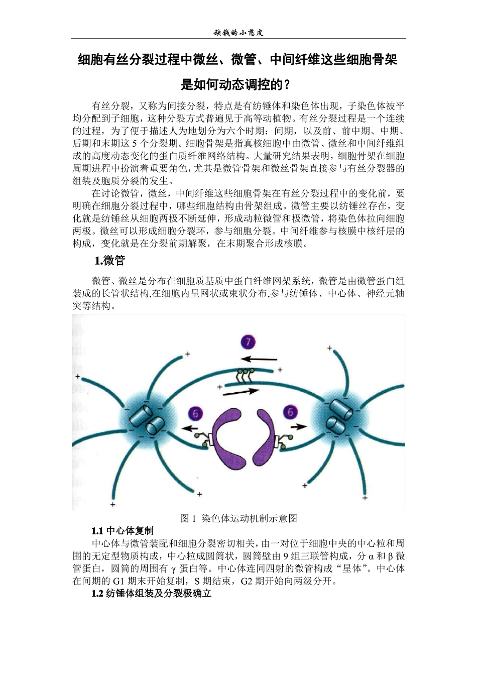 细胞骨架作业_第1页