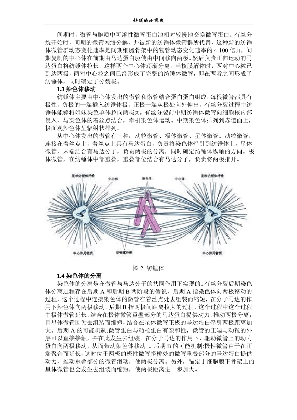 细胞骨架作业_第2页