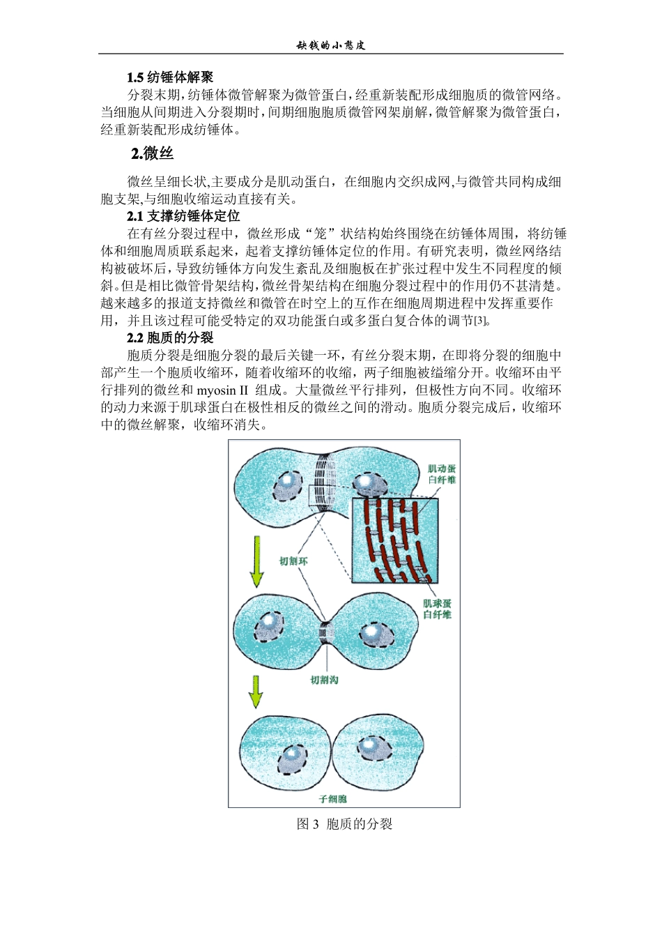 细胞骨架作业_第3页