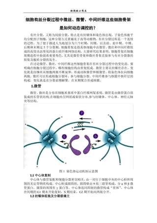 细胞骨架作业