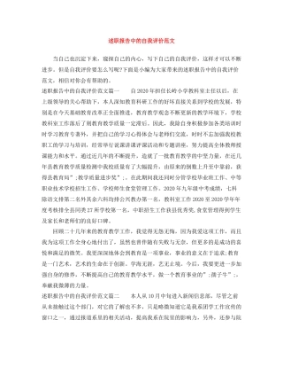 述职报告中的自我评价范文