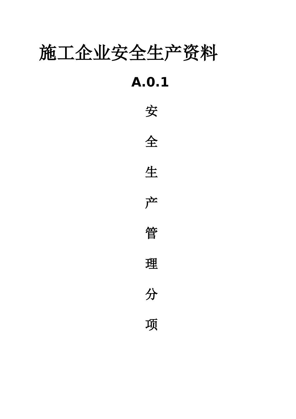 企业安全生产条件资料1_第1页