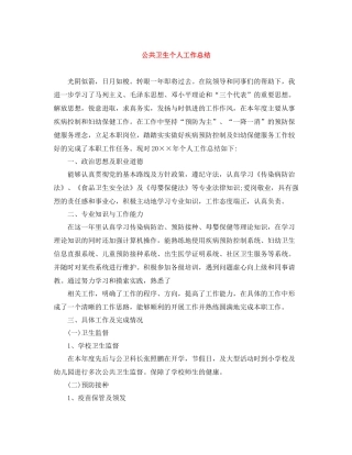 公共卫生个人工作总结