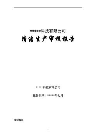 清洁生产报告书