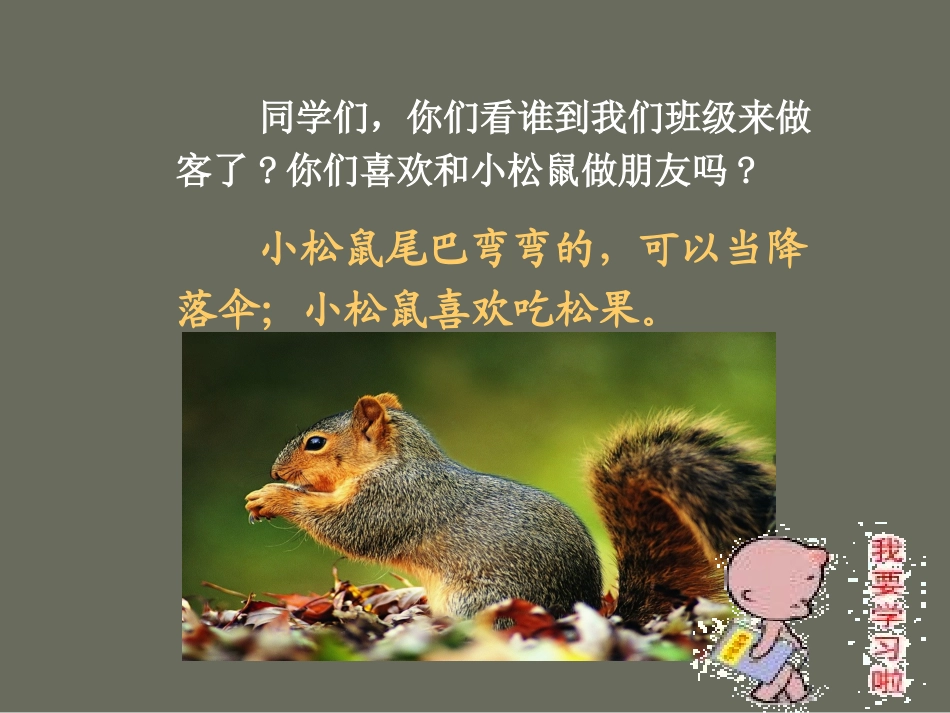 人教版一年级语文下册《松鼠和松果》 (2)_第1页
