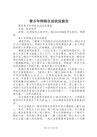 青少年网络生活状况报告