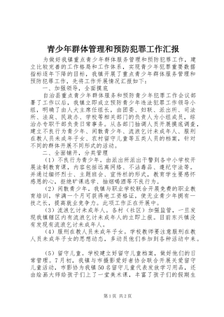 青少年群体管理和预防犯罪工作汇报