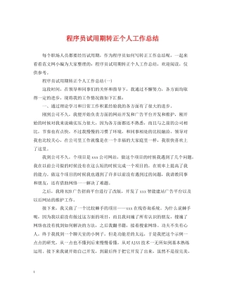 程序员试用期转正个人工作总结2